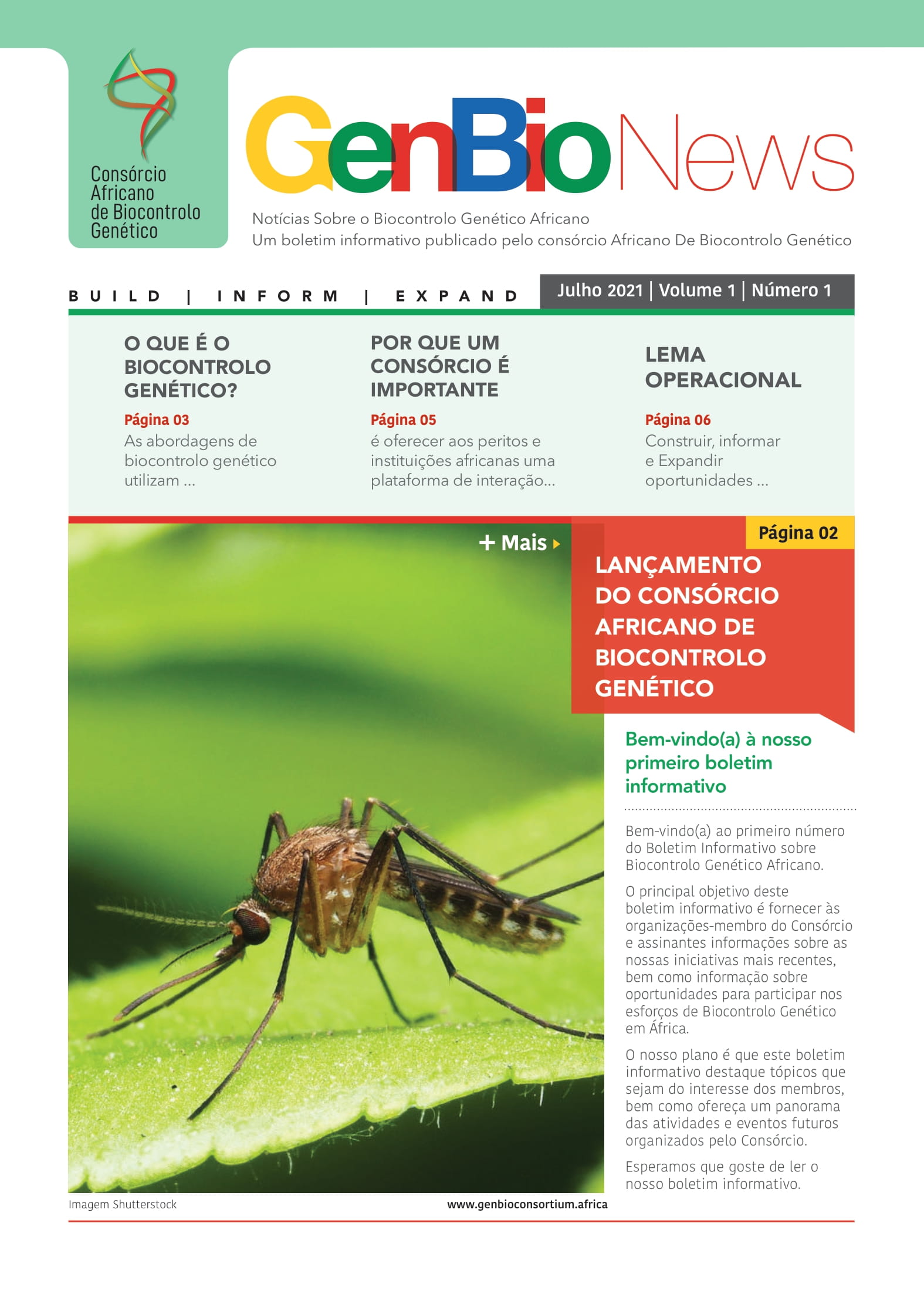 Monthly Newsletters – The African Genetic Biocontrol Consortium