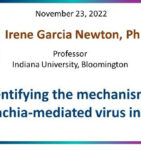 Identifying the mechanisms of Wolbachia-mediated virus inhibition