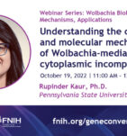 Understanding the cellular and molecular mechanisms of Wolbachia-mediated cytoplasmic incompatibility