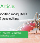 Genetically modified mosquitoes… could CRISPR gene editing end malaria