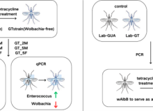 19a9089a-2348-cfa1-c13c-9877e8ca4e05 19a9089a-2348-cfa1-c13c-9877e8ca4e05