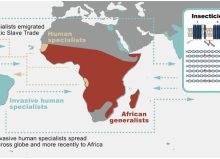 223c0296-2094-592b-dc9e-fb9bb48fd6c6 223c0296-2094-592b-dc9e-fb9bb48fd6c6