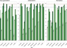 2f3487d7-5870-acc8-dc7c-08666909840b 2f3487d7-5870-acc8-dc7c-08666909840b