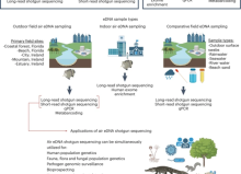 449e2572-c134-a4ce-e518-f667002aef60 449e2572-c134-a4ce-e518-f667002aef60