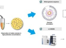6c1ef381-df36-4733-d12e-e29d1cbb49eb 6c1ef381-df36-4733-d12e-e29d1cbb49eb