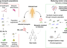 6d00e823-d109-a74d-6ded-63e949f56253 6d00e823-d109-a74d-6ded-63e949f56253