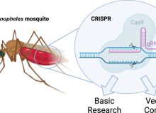 7815fdf0-6282-1869-f0fc-7c2136041051 7815fdf0-6282-1869-f0fc-7c2136041051