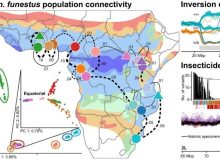 7a9a9a99-8a70-c1db-d8bc-65b049b90fba 7a9a9a99-8a70-c1db-d8bc-65b049b90fba