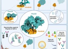 7cdfab4f-fa41-e953-ca6d-fd98ec470dce 7cdfab4f-fa41-e953-ca6d-fd98ec470dce