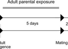 9ef50b08-e9d2-8ac2-fb43-487d4f74c11b 9ef50b08-e9d2-8ac2-fb43-487d4f74c11b