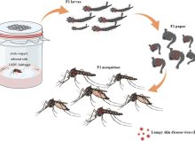 a06f5bd7-613b-54b8-6455-9e8b855f262b a06f5bd7-613b-54b8-6455-9e8b855f262b