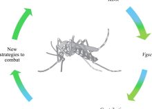 e3629692-0d90-c70b-e6f4-da72c0cc1575 e3629692-0d90-c70b-e6f4-da72c0cc1575