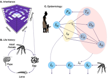 ed980967-fa5d-b008-c859-bf3701e50bee ed980967-fa5d-b008-c859-bf3701e50bee