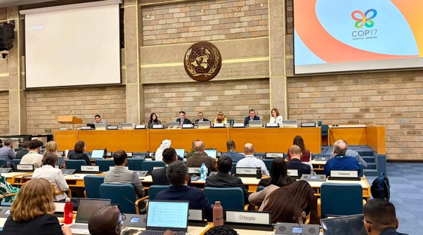 sbi-plenary